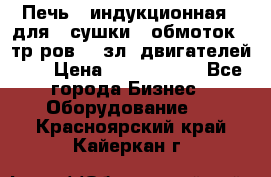 Печь   индукционная   для   сушки   обмоток   тр-ров,   зл. двигателей    › Цена ­ 3 000 000 - Все города Бизнес » Оборудование   . Красноярский край,Кайеркан г.